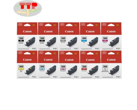  Mực máy in Canon PFI-300 C, CO, GY, M, MBK, PBK, PC, M, R, Y